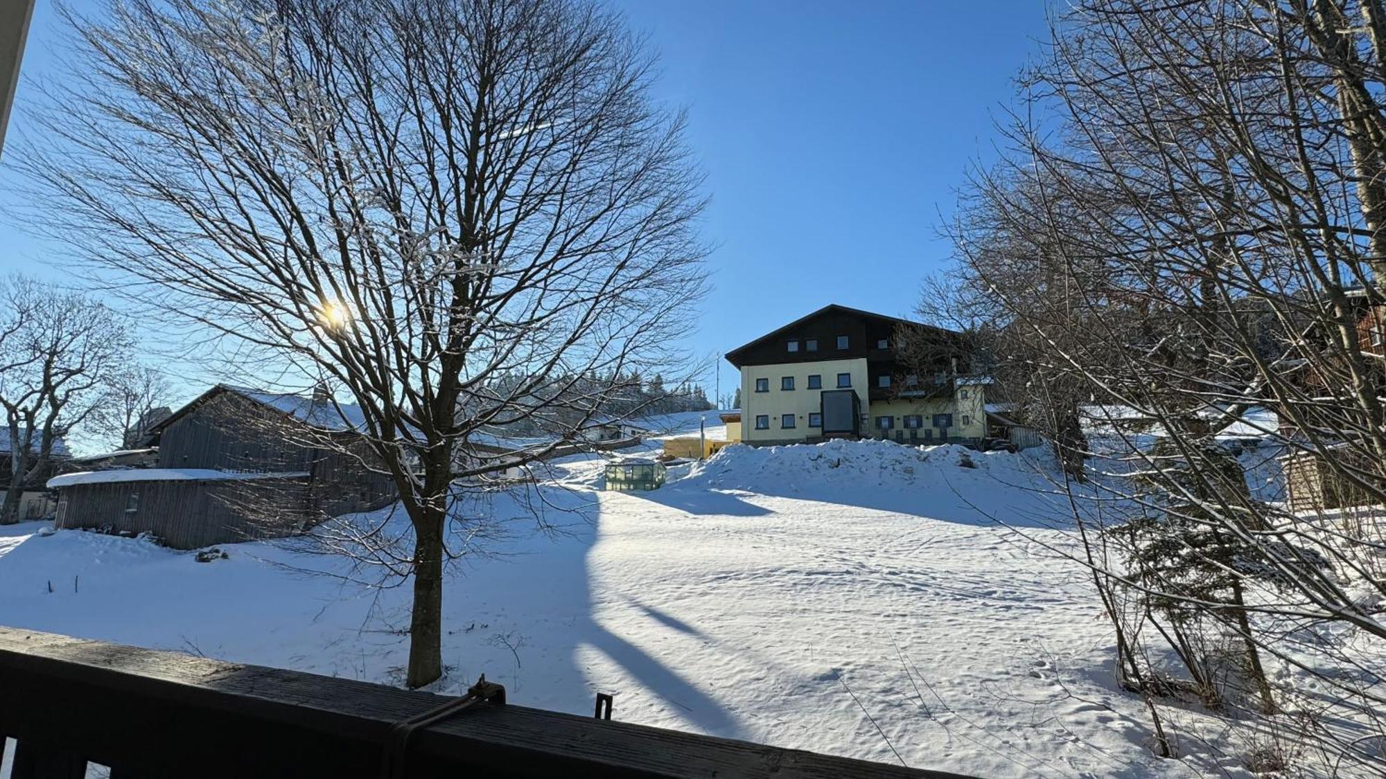 Mitterdorf Almberg X29 Apartamento Mitterfirmiansreut Exterior foto